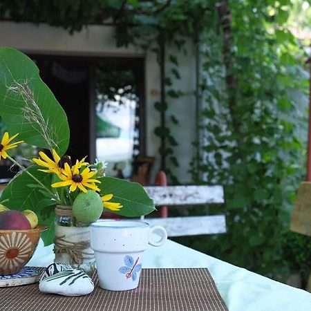 Hikers Hostel Veliko Tarnovo Exterior photo